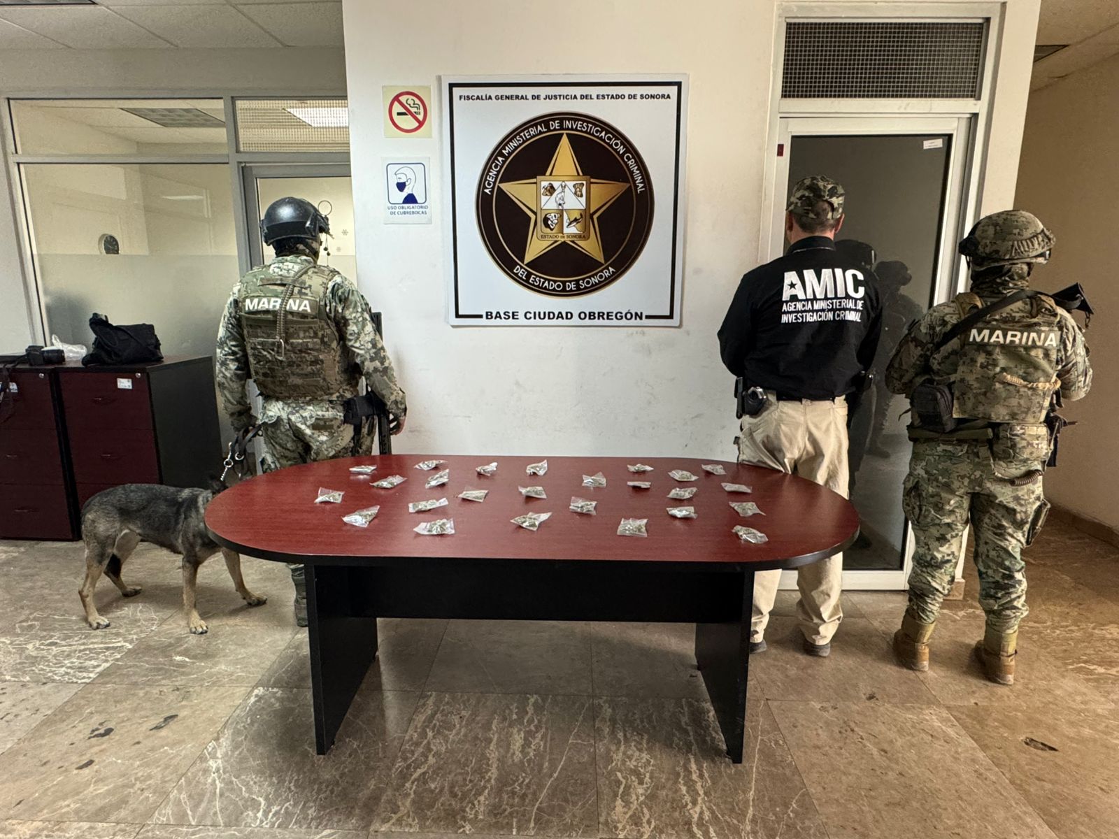 Fuerza de Tarea Interinstitucional (FTI) catea tres inmuebles y asegura narcótico