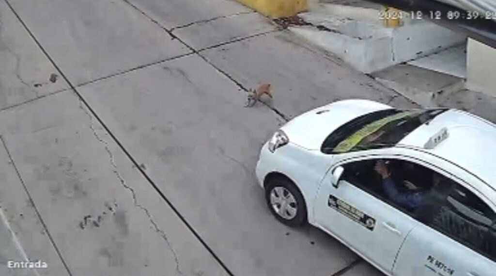 Screenshot 20241225 082538 com.whatsapp