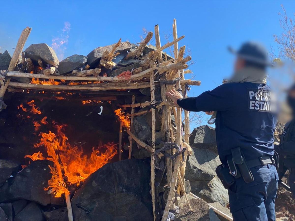 Trabaja Gobierno de Sonora para fortalecer operativos de seguridad en la frontera