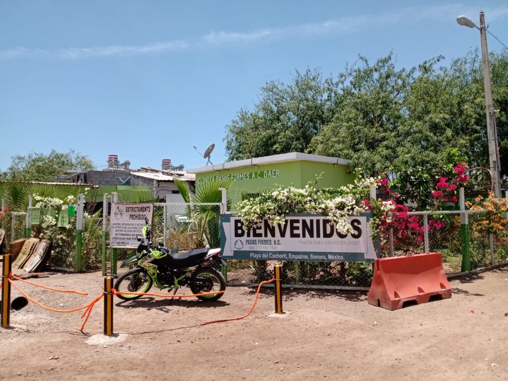 28 enero avanza en este ano los huertos en daer