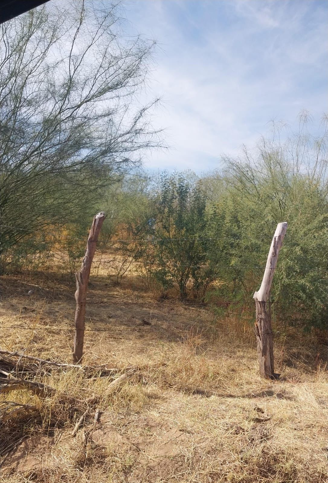 Localizan a hombre sin vida en el valle de Empalme