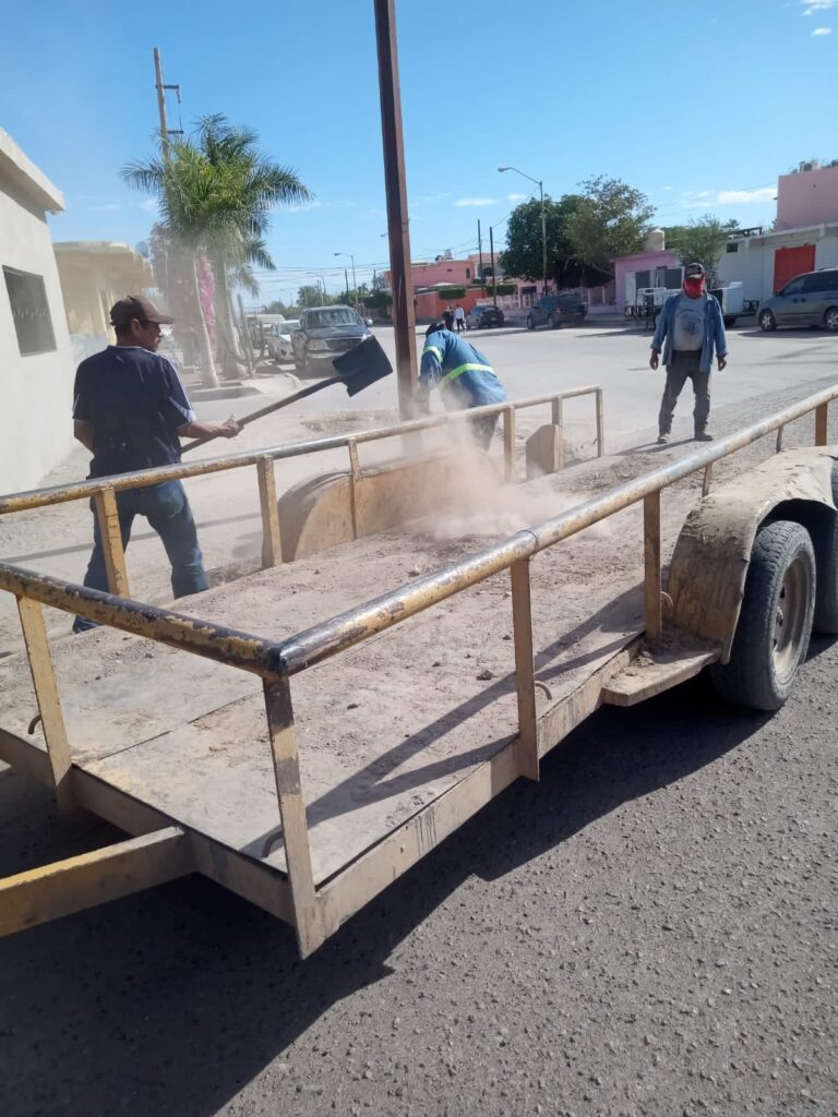 7 enero empiezan con trabajo en camellones y bulevares