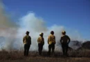 Pacific Palisades, el barrio de ricos y famosos que los incendios redujeron a ceniza