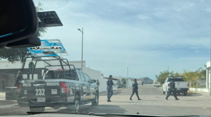 IMG 20250117 WA01041 edit 18509669506897