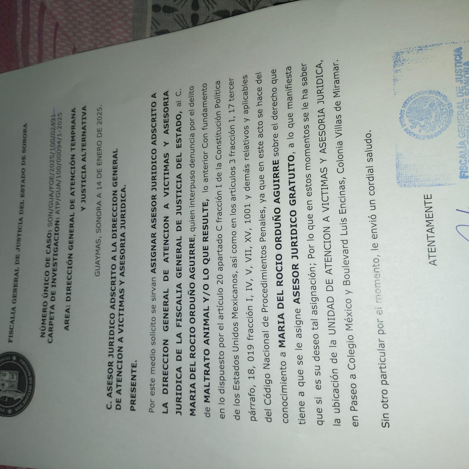 Adulto mayor golpea a perros, denuncian animalistas