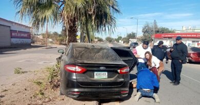 Dos lesionados tras choque de auto contra palma