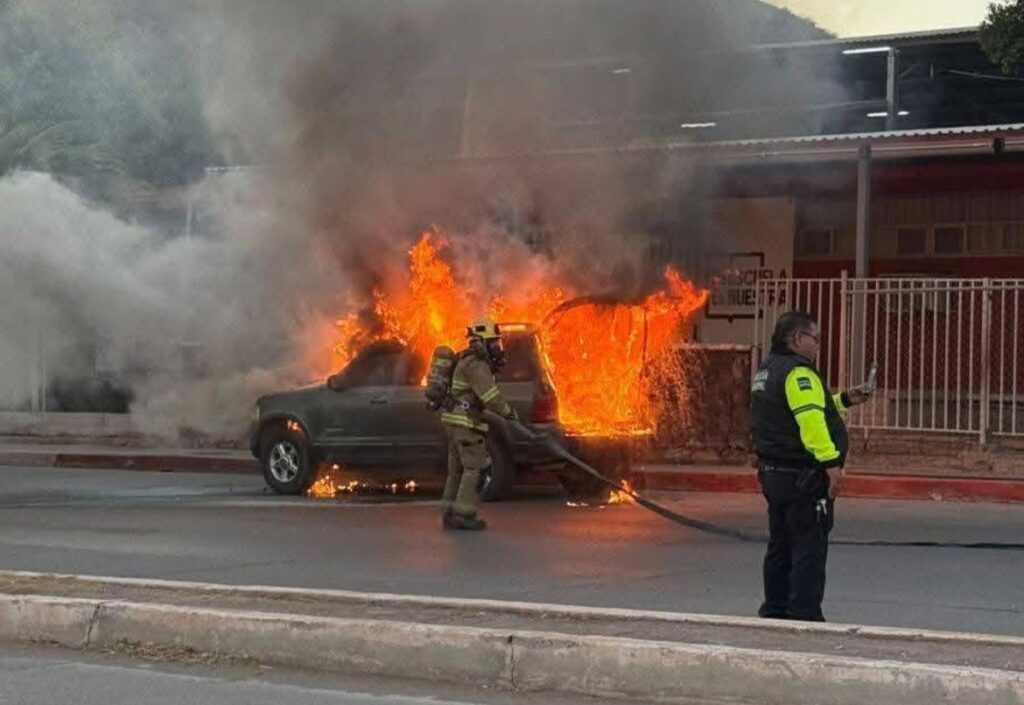 WhatsApp Image 2025 01 11 at 11.44.36 AM 2 1