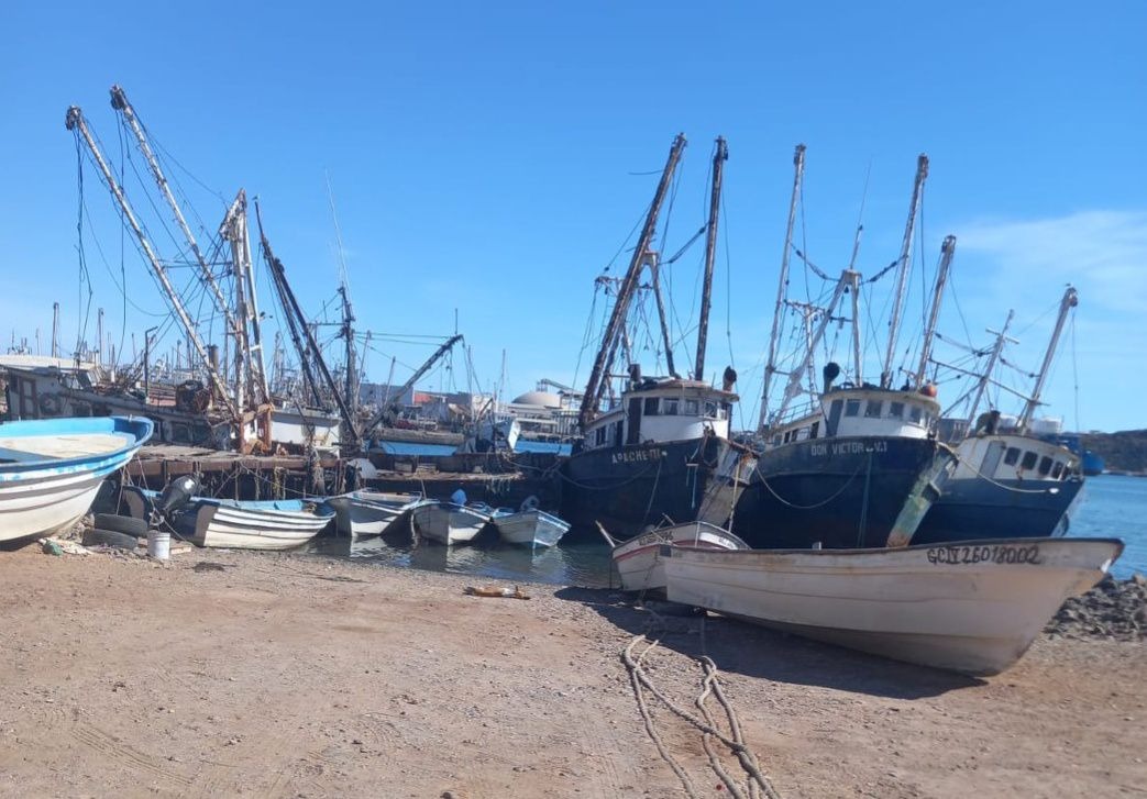 Se debe preparar Puerto para exportaciones