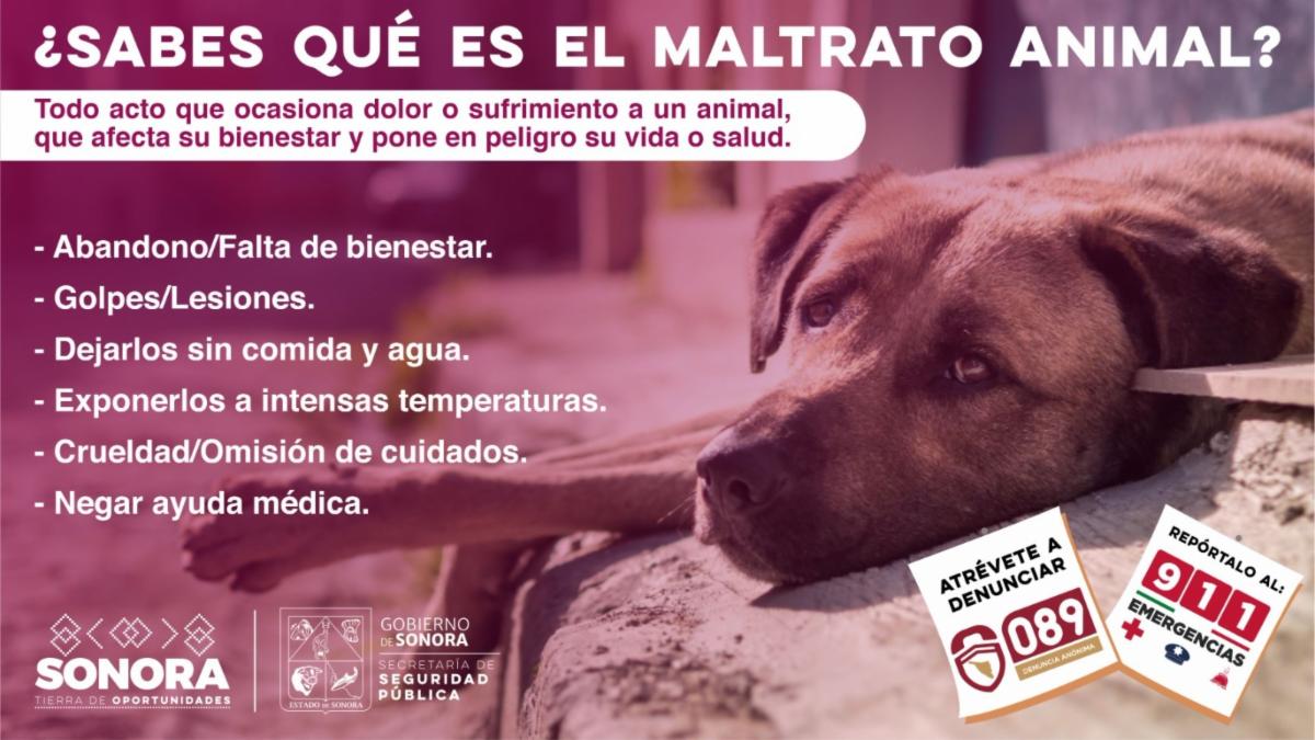 Promueve Secretaría de Seguridad Pública la denuncia hacia el maltrato animal