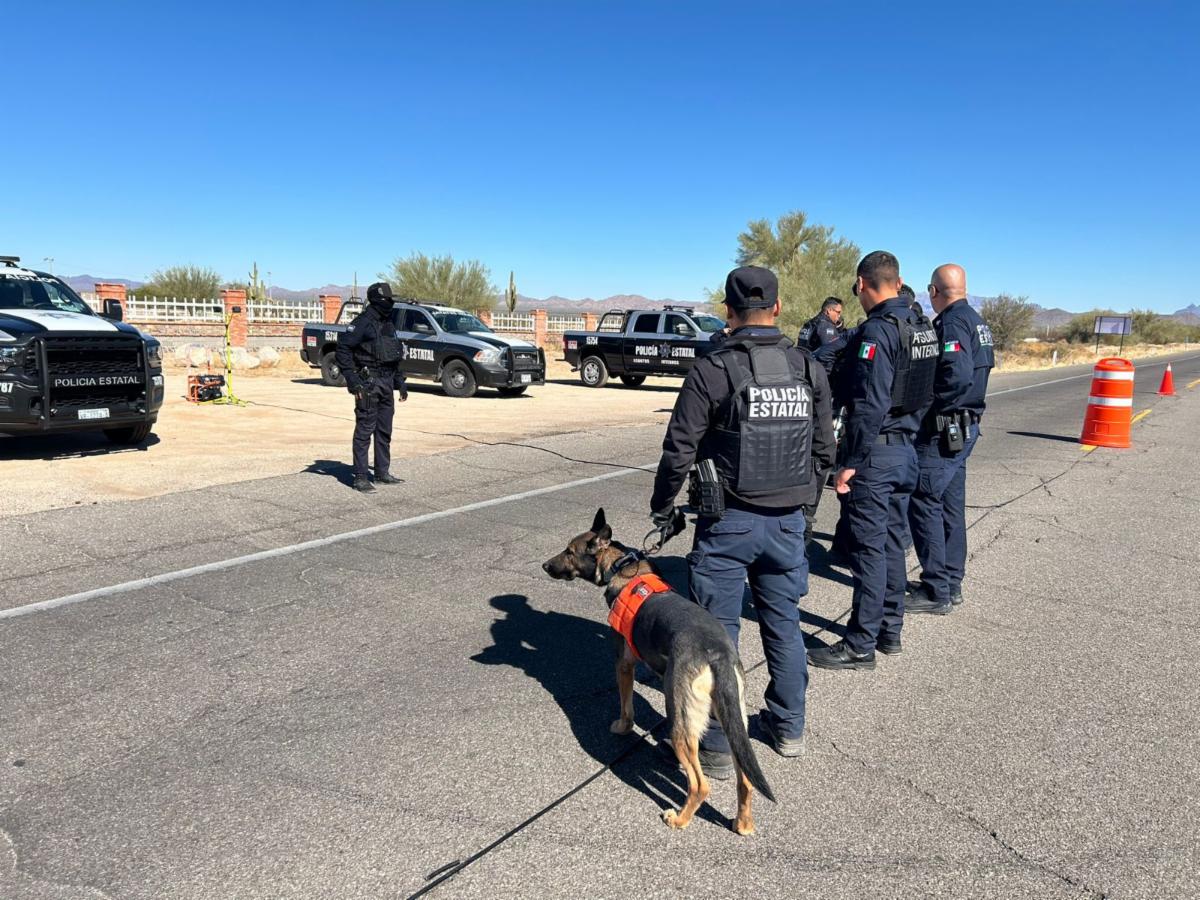 Asegura Gobierno de Sonora más de 5 mil dosis de narcótico en operativos de la Policía Estatal