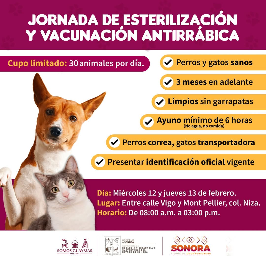 Habrá jornada de esterilización