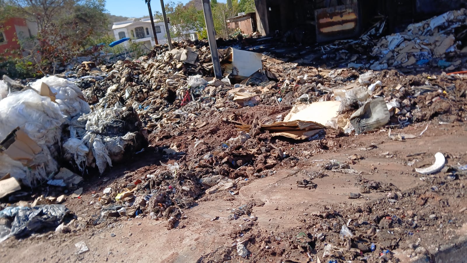 Protección Civil clausura cartonera