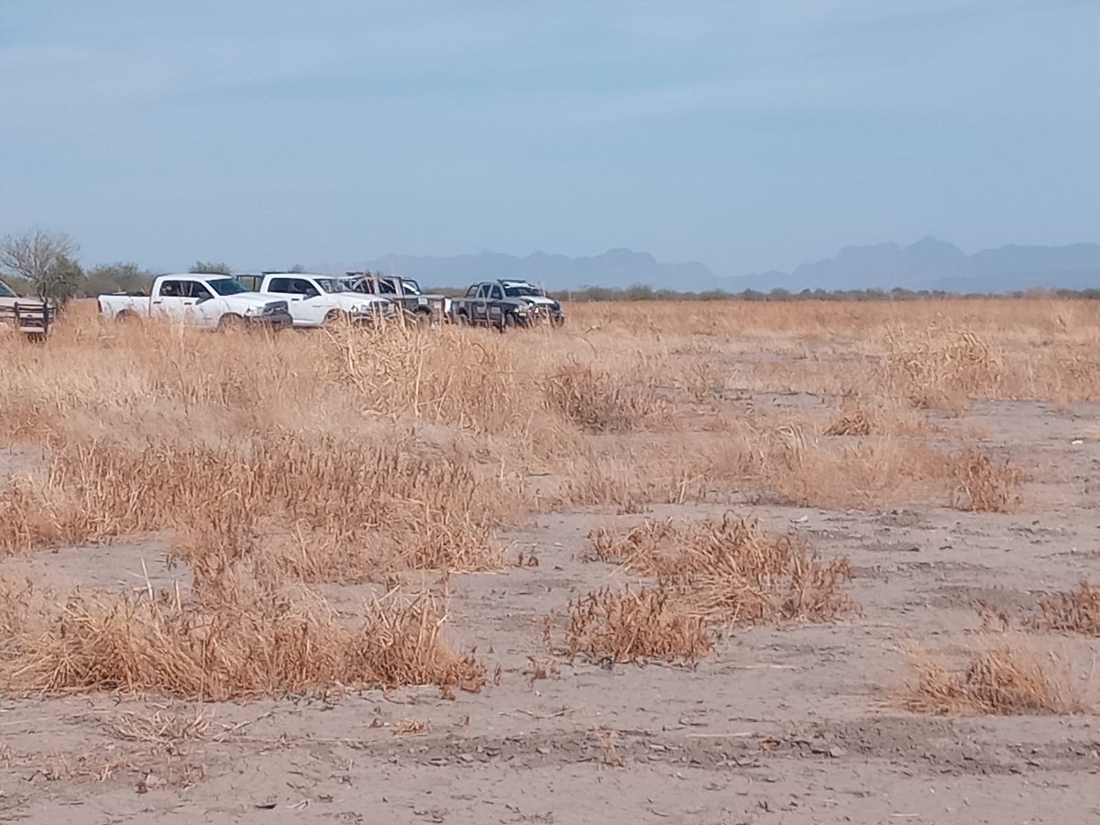 Encuentran a hombre ejecutado