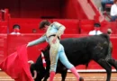 Sheinbaum se pronuncia a favor de mantener las corridas de toros sin maltrato animal