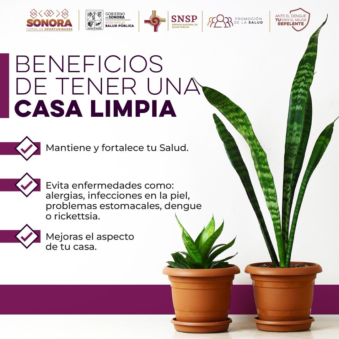 Gobierno de Sonora anticipa acciones contra el dengue para disminuir casos y continuar sin defunciones