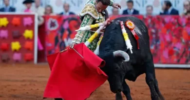 Tauromaquia Mexicana llevará a tribunales la prohibición de corridas de toros en CDMX