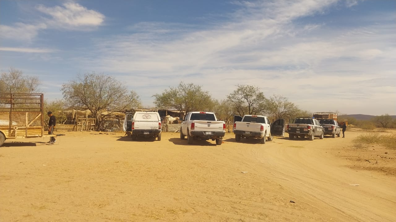 Se suicida adulto mayor