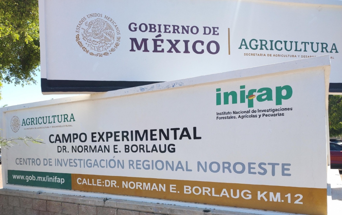 Gobierno de Sonora fortalece formación de profesionales para revolucionar el sector agrícola: UTEtchojoa