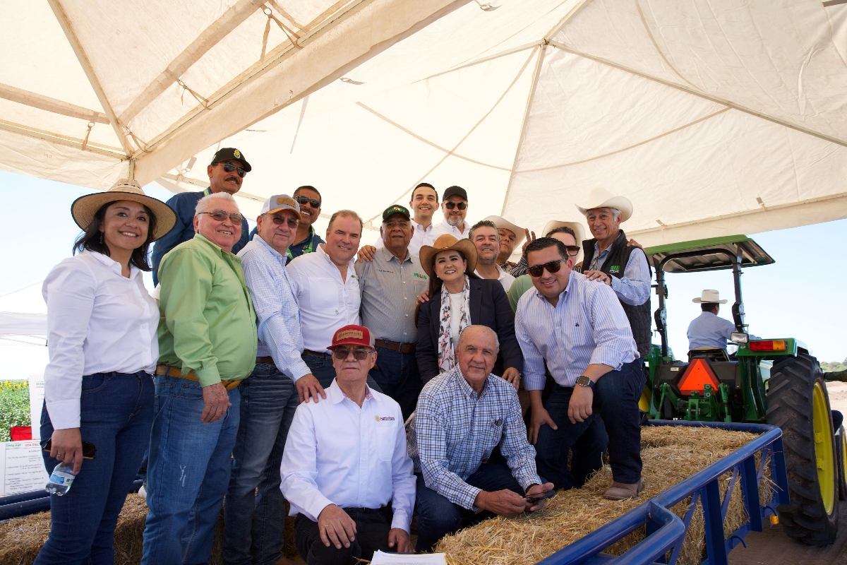 Gobierno de Sonora trabajará con productores para definir estrategias de cultivos