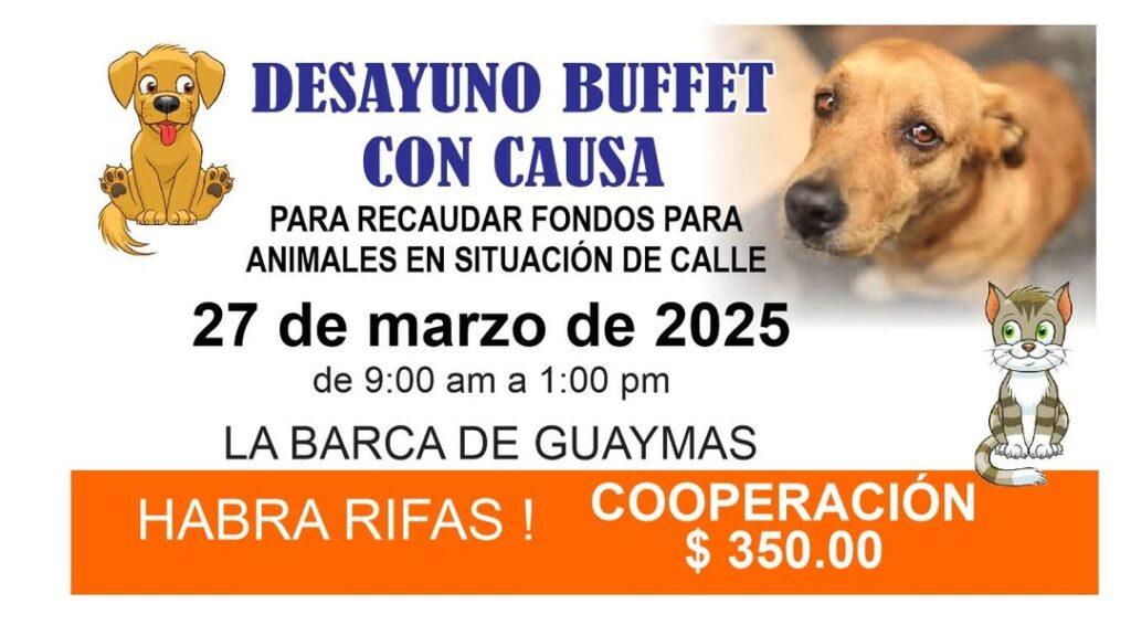 FB IMG 1741998040418