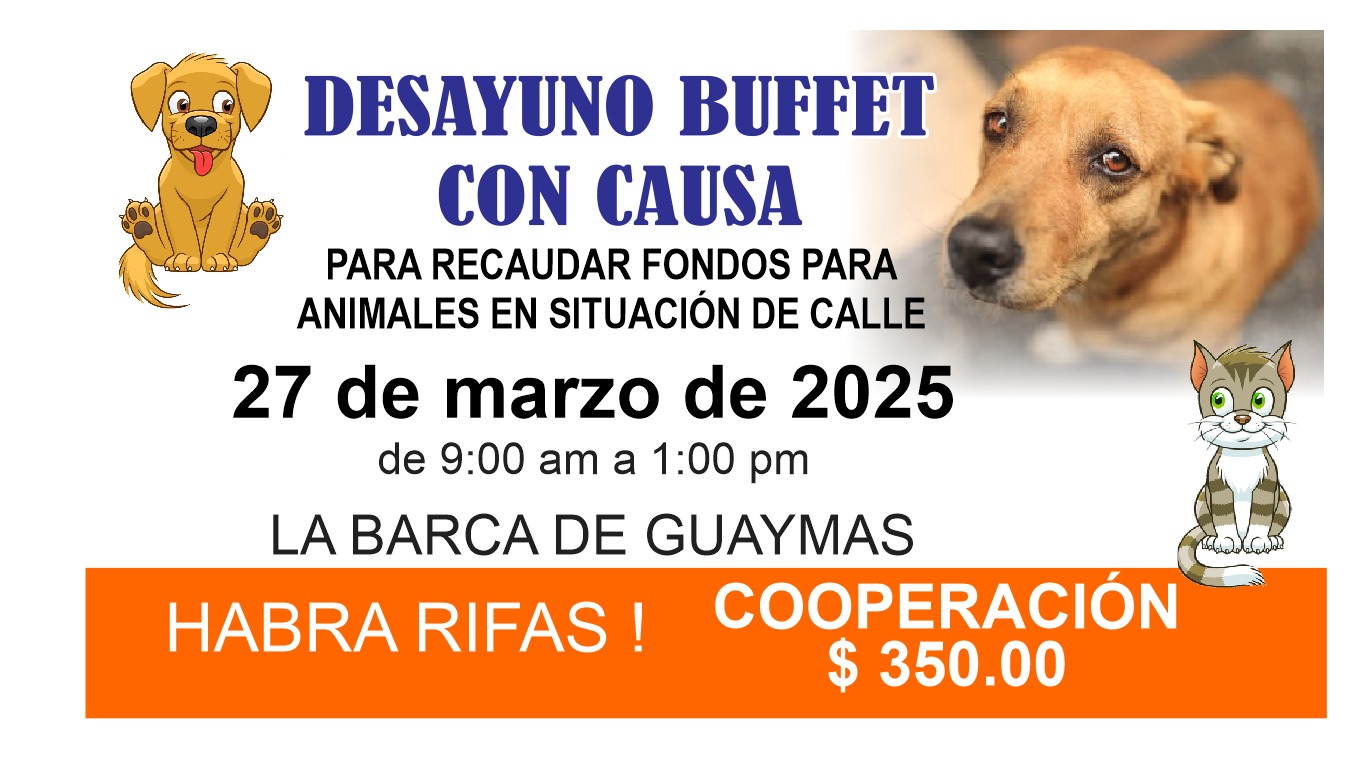 Denuncian maltrato animal