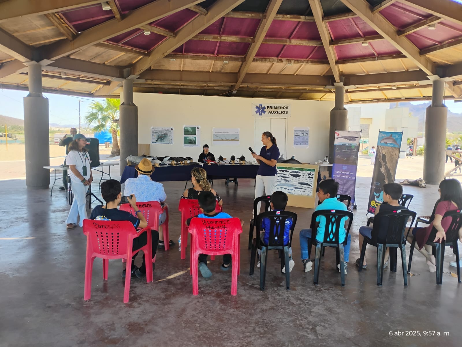 Imparten taller sobre ballenas en Miramar
