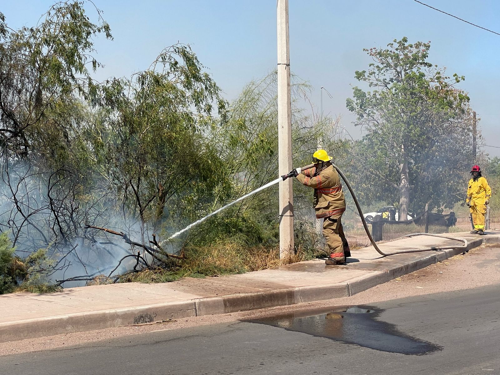 Se registra fuerte incendio forestal