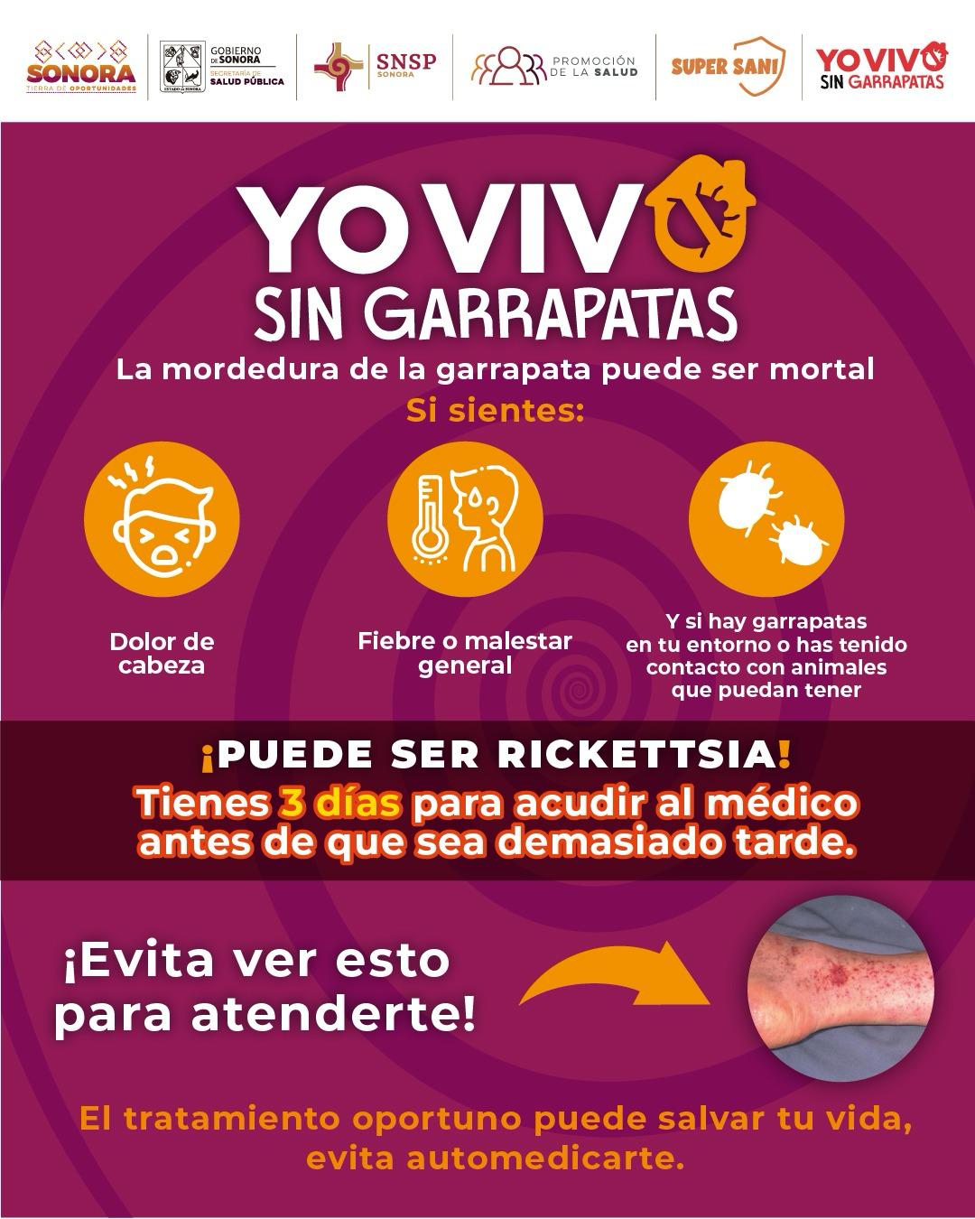 Gobierno de Sonora llama a prevenir la rickettsiosis ante inicio de temporada de calor