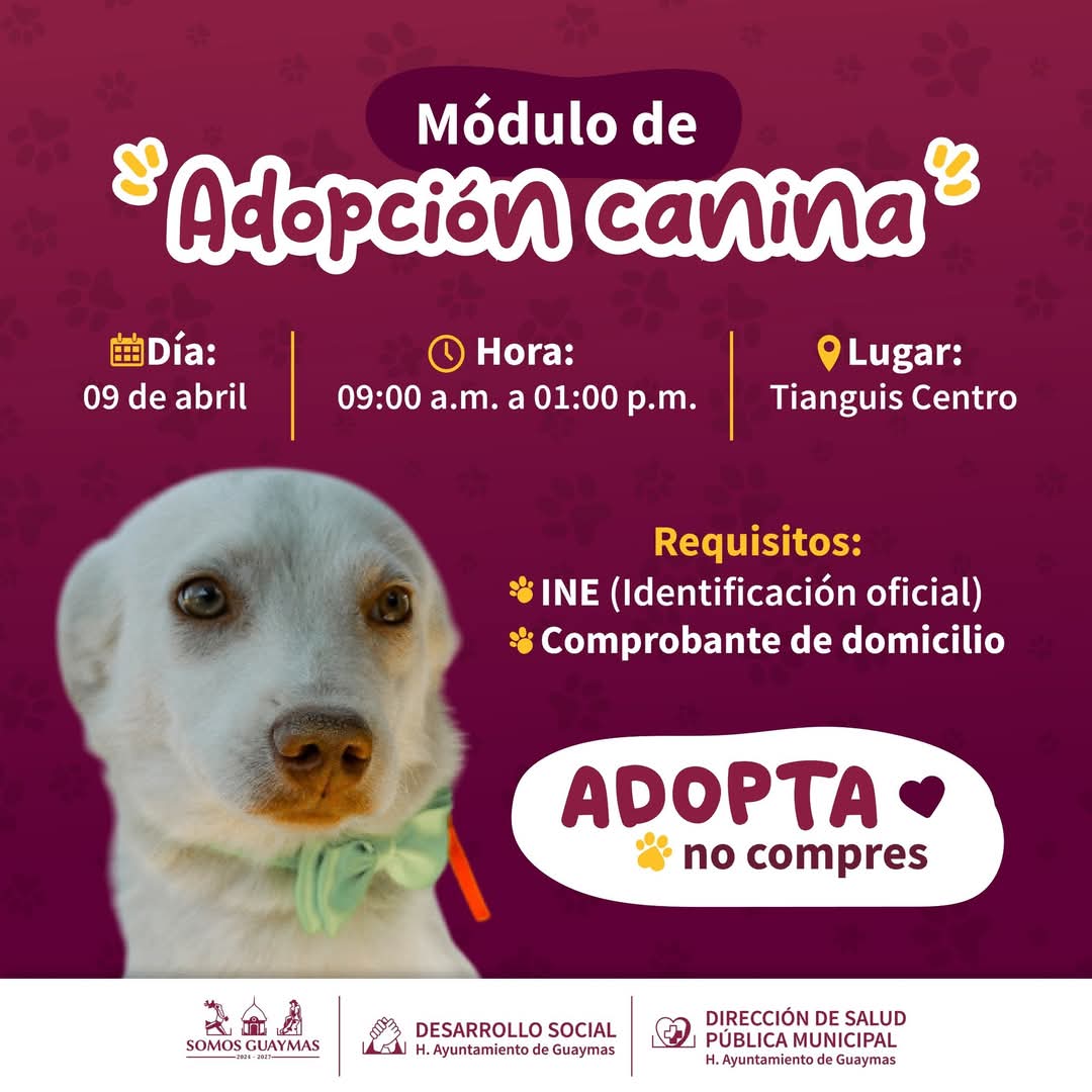 Habrá jornada de adopción canina el miércoles