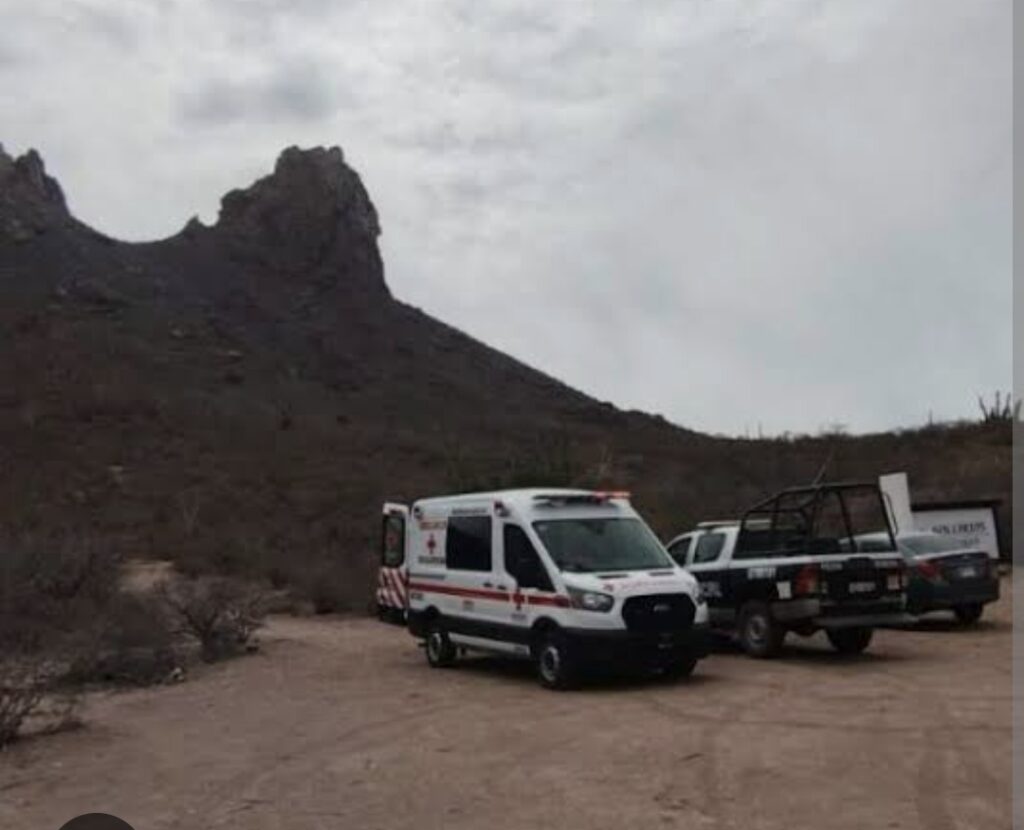 Screenshot 20250415 161927 com.android.chrome