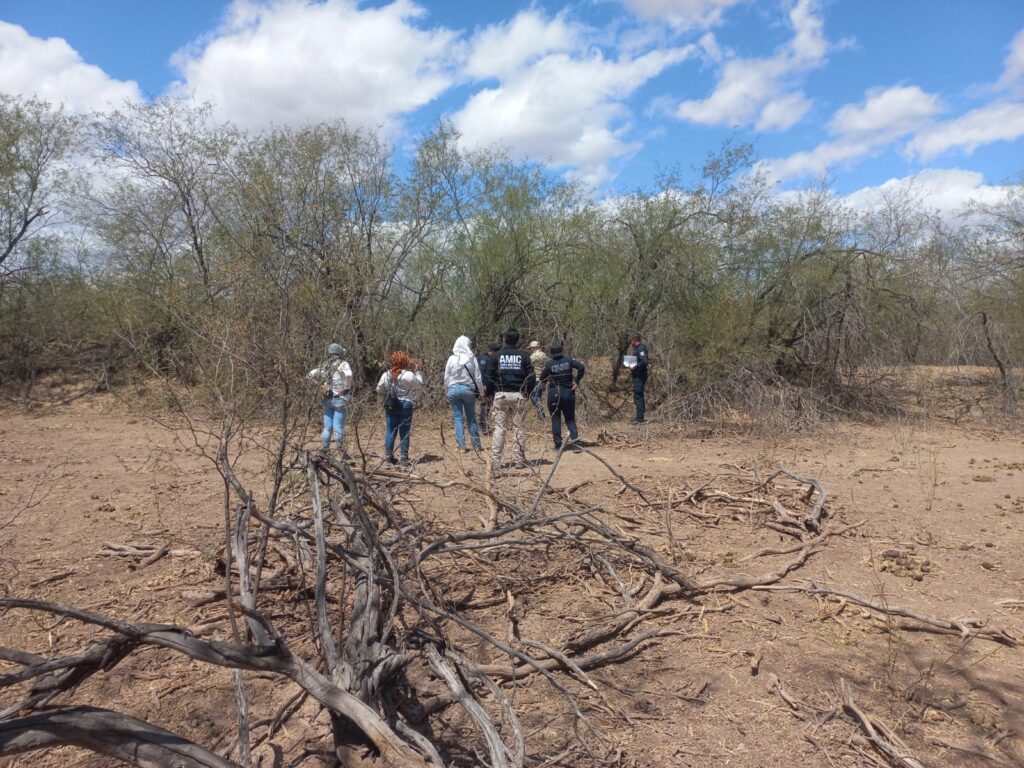 WhatsApp Image 2025 04 05 at 1.31.31 PM