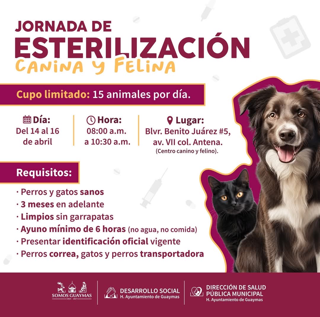 Habrá jornada de esterilización canina y felina