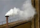 Ovación en la Plaza de San Pedro al anunciarse con humo blanco la elección del nuevo papa