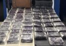 Fuerzas federales aseguran 92 kilos de cocaína en dos operativos en Coahuila