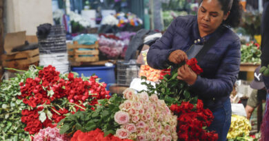 Madres mexicanas enfrentan discriminación laboral, bajos salarios y sobrecarga de cuidados