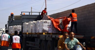 ONU advierte que 14 mil bebés podrían morir en Gaza si no se permite el ingreso urgente de ayuda humanitaria