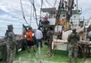 Aseguran barco guaymense en pesca ilegal de tiburón