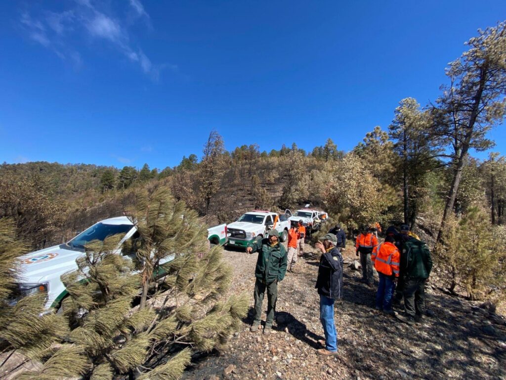 Gobierno de Sonora continúa combate de cuatro incendios forestales 1 484