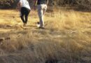 Hallan restos humanos en el valle de Guaymas