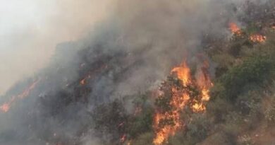 Se incendia predio en el Mirador