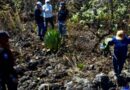 Causa en Común alerta sobre el aumento de desapariciones en México: 42 casos diarios en 2025