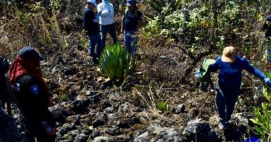 Causa en Común alerta sobre el aumento de desapariciones en México: 42 casos diarios en 2025