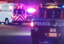 Balean a guaymense