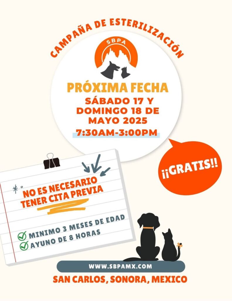 FB IMG 1746829871353