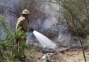 Siguen incendios forestales