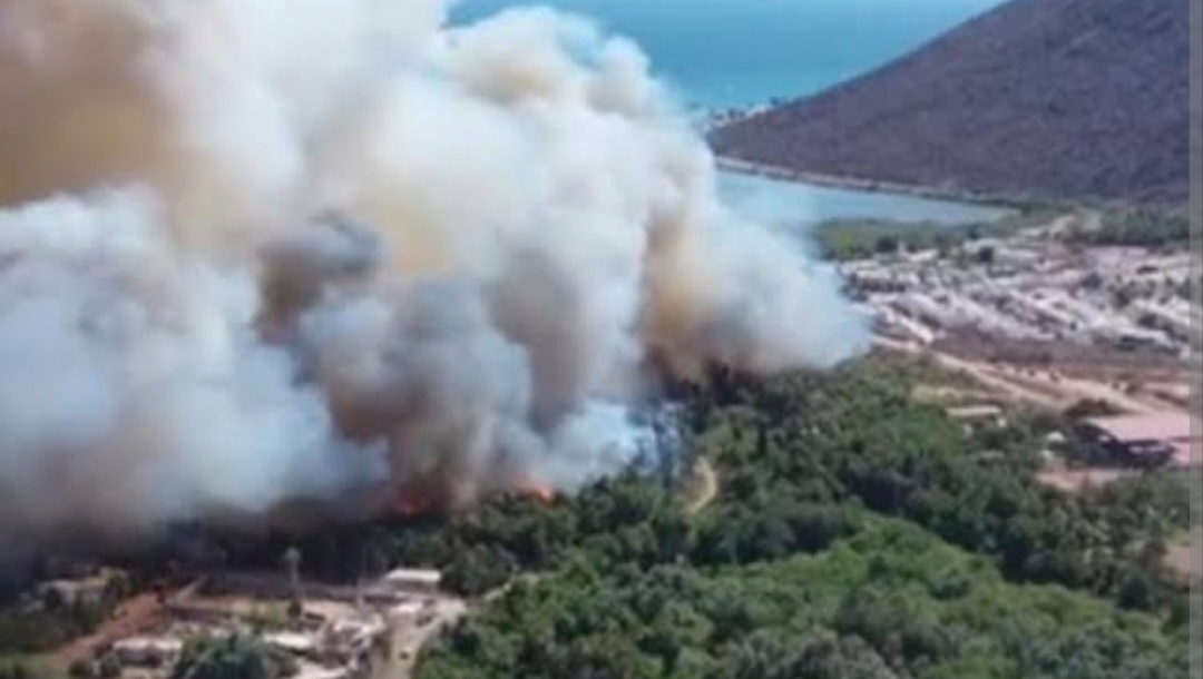 Se preparan para forestales