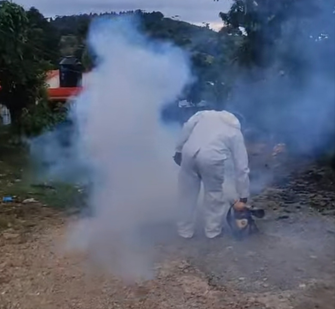 Sector salud olvida fumigar casa de paciente con dengue