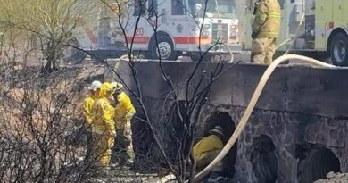 Tras incendio forestal