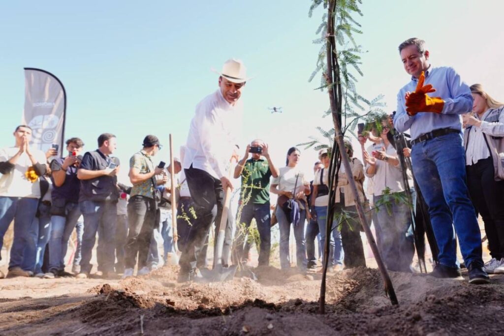 WhatsApp Image 2025 05 06 at 5.11.00 PM