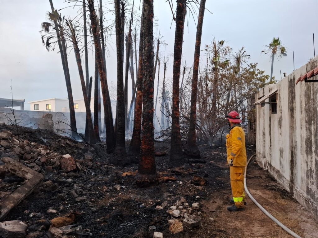 WhatsApp Image 2025 05 17 at 11.15.25 AM 1